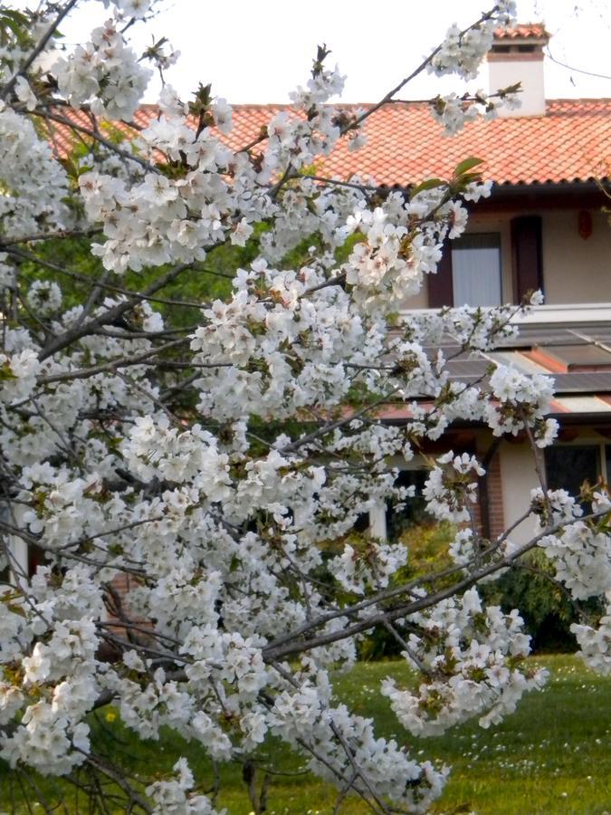 Agriturismo Il Magicorto Villa Cassola Exterior photo