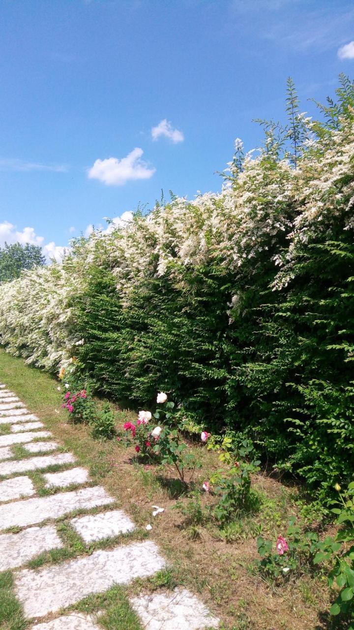 Agriturismo Il Magicorto Villa Cassola Exterior photo